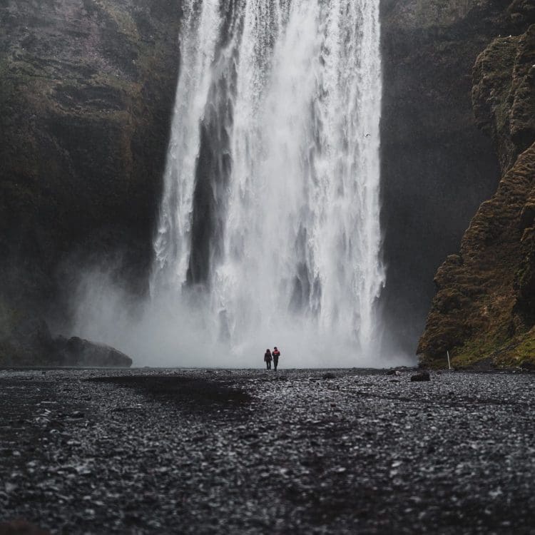 ILCE-7RM5 50mm f/1.2 1/2000sec ISO-160